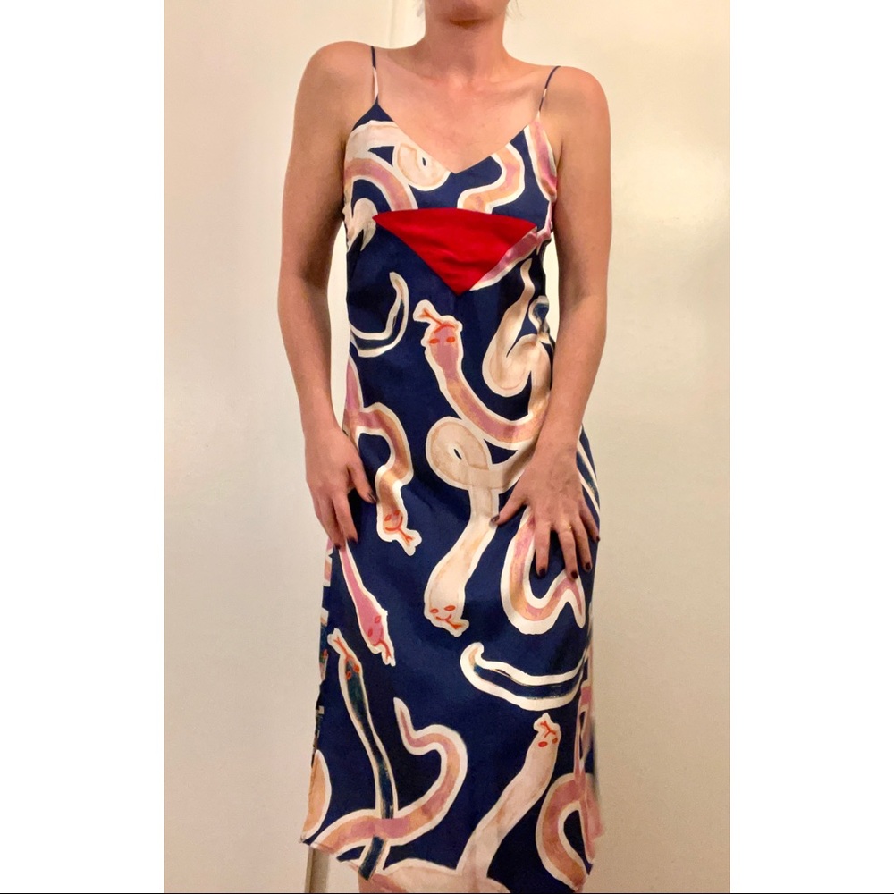 Beautiful CARLEEN Snake Print Slip Dress $99